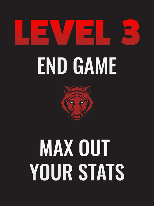 LEVEL 3 - END GAME